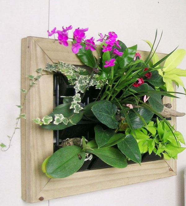 植生牆 綠牆 DIY 作品案例