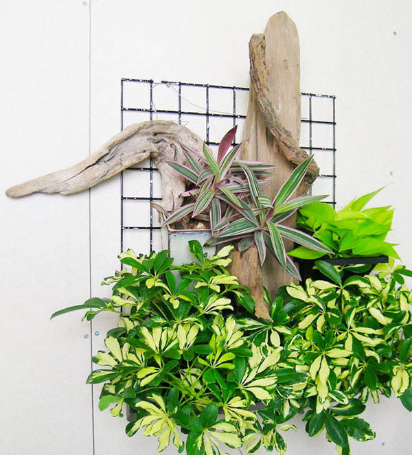 植生牆 綠牆 DIY 作品案