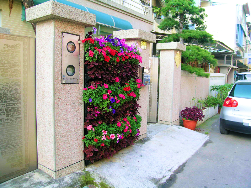 植生牆 綠牆 DIY 作品案