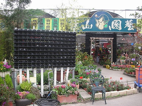 植生牆 綠牆 DIY 作品案