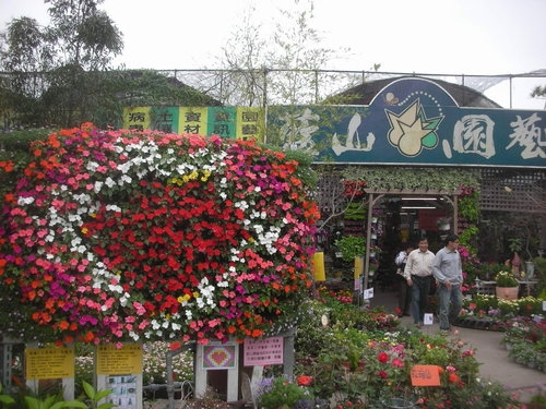 植生牆 綠牆 DIY 作品案