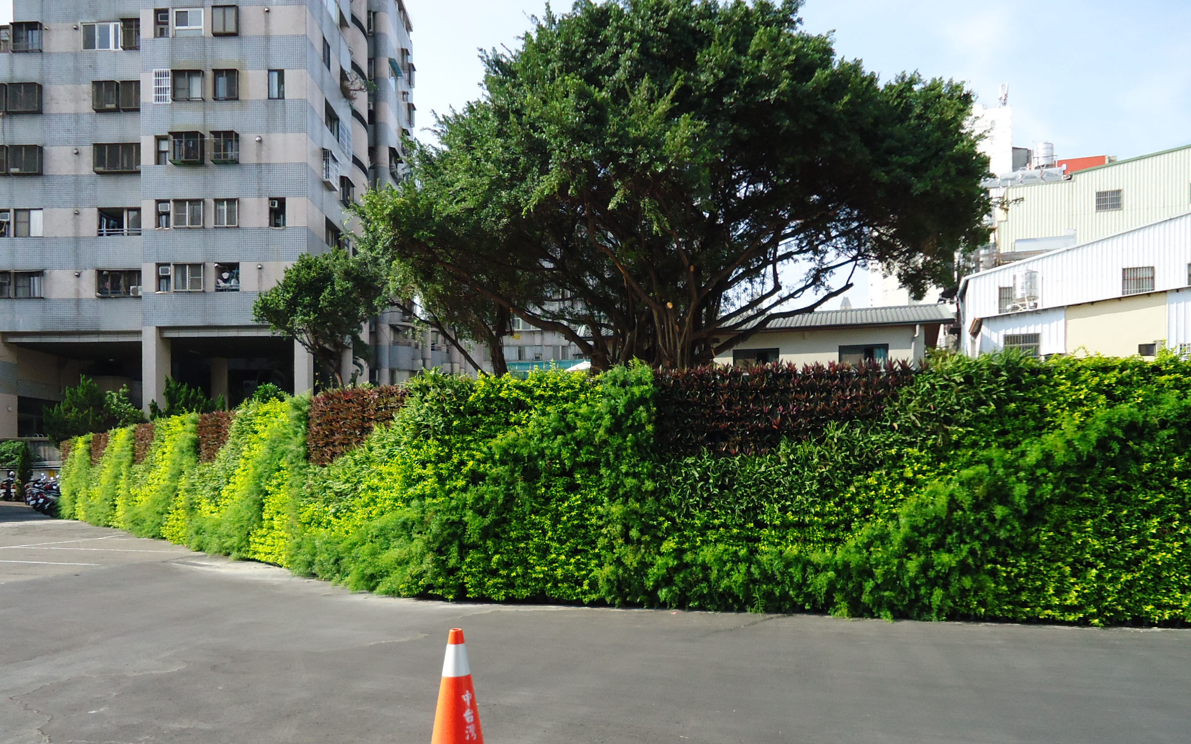 綠牆 植生牆 工地圍籬 作品案例