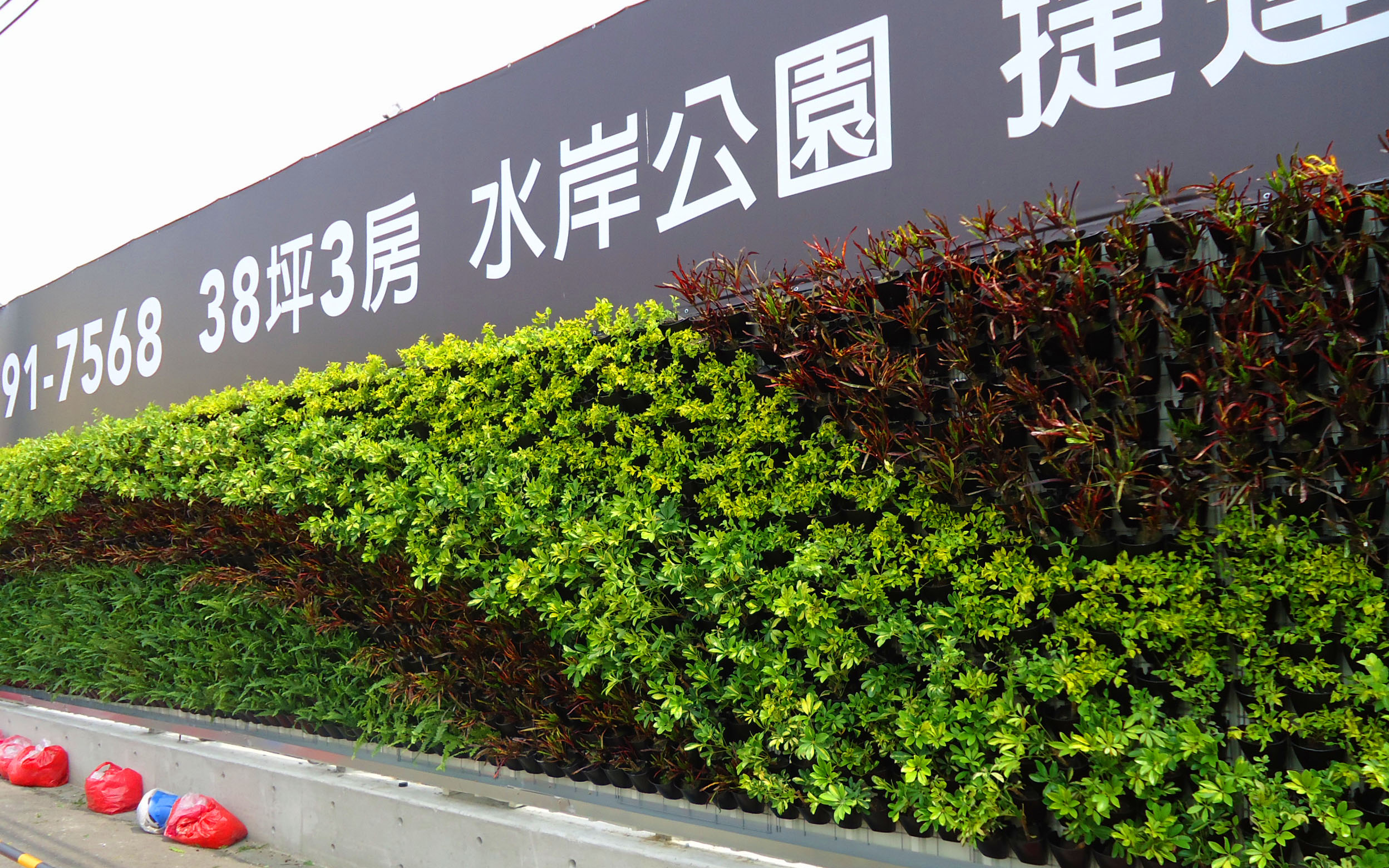 綠牆 植生牆 工地圍籬 作品案例