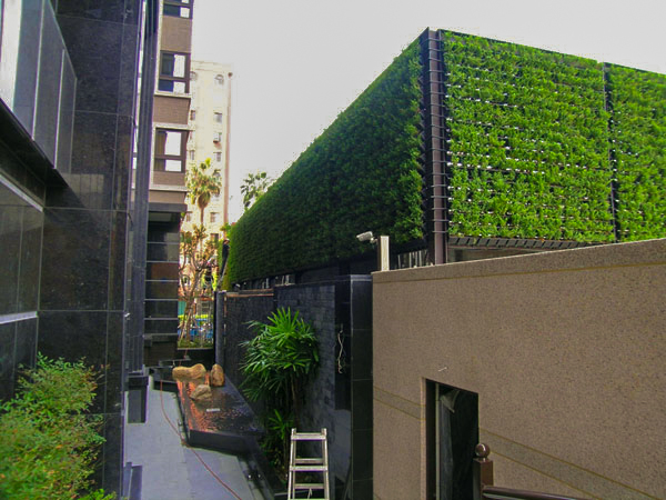 住家 公司 別墅  綠牆 作品案例