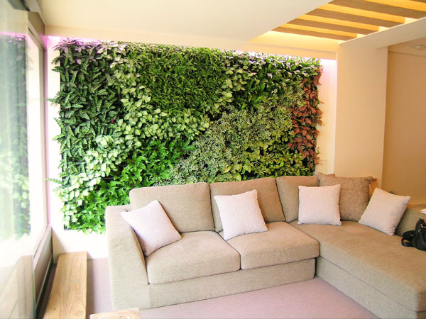 室內綠化 室內花牆 文青拍照風格 作品案例