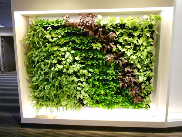 室內綠化 室內花牆 文青拍照風格 作品案例