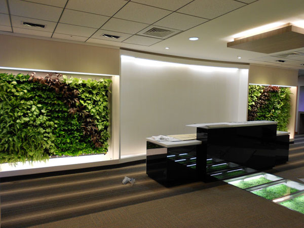 室內綠化 室內花牆 文青拍照風格 作品案例