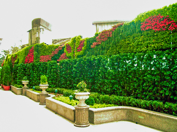 花牆 花柱 植生牆 綠牆 公共綠化 台中綠牆