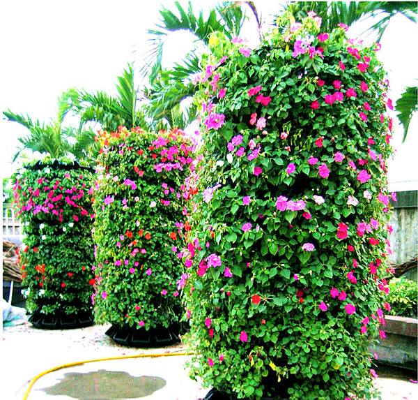 花牆 花柱 植生牆 綠牆 公共綠化 台中綠牆