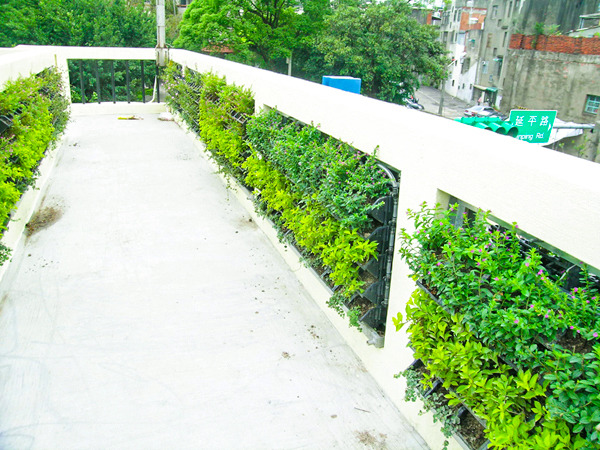 花牆 花柱 植生牆 綠牆 公共綠化 台中綠牆