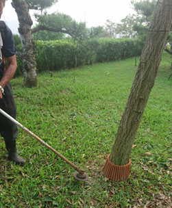 割草 保護套 養護套 綠化 割草 花園養護